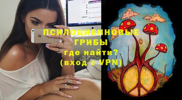 дурь Верея