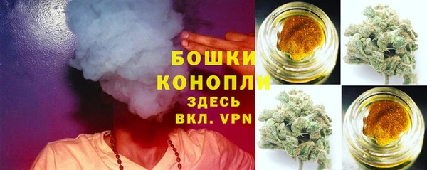 дурь Верея